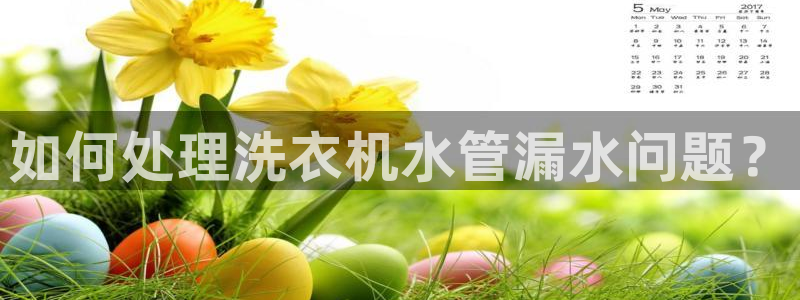 天辰娱乐平台地址