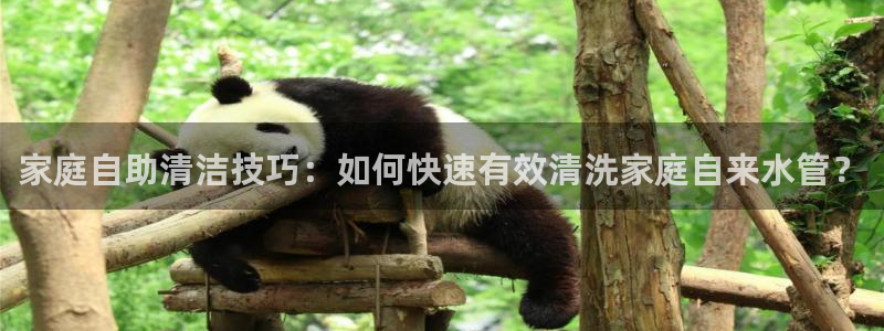 天辰娱乐平台地址